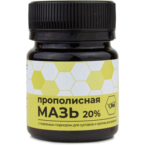 ������ ������ ���� ��� ���� ������������� ����������� � �������� ��������, ��� ������ ����, ���������, �������� ��������������, ���������, 40 ��. ����