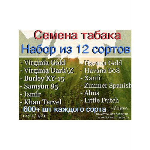 ������ ������ ������ Andrey Masloff - Company ����