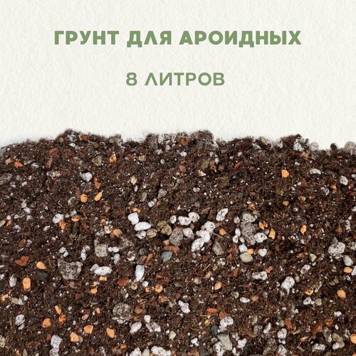 ������ ������ ����� ��� ��������, ��� ��������� ��������. ����� ��� ������ � ������. 8 ������ ����