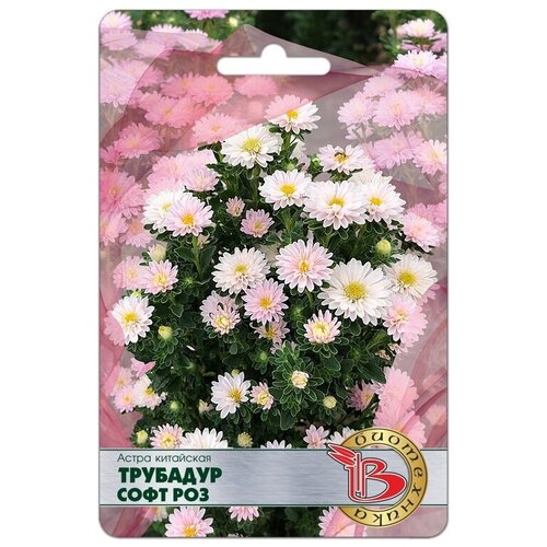 ������ ������ ����� �������� ���� ��� ����