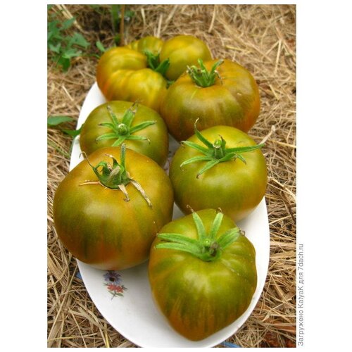 ������ ������ ������ ������ 