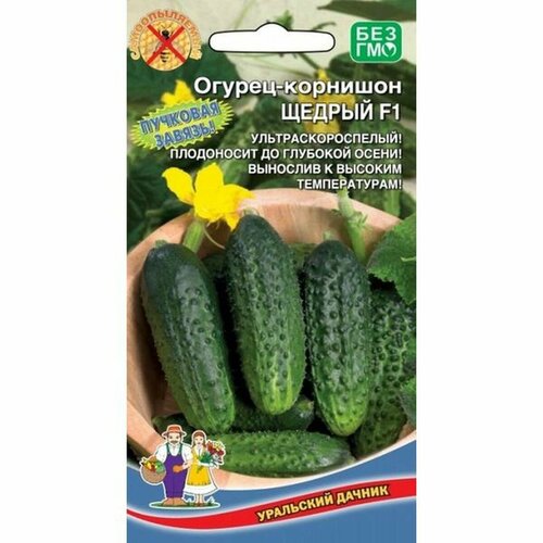 ������ ������ ������ ������ ������ F1 (������������������) 10�� ����