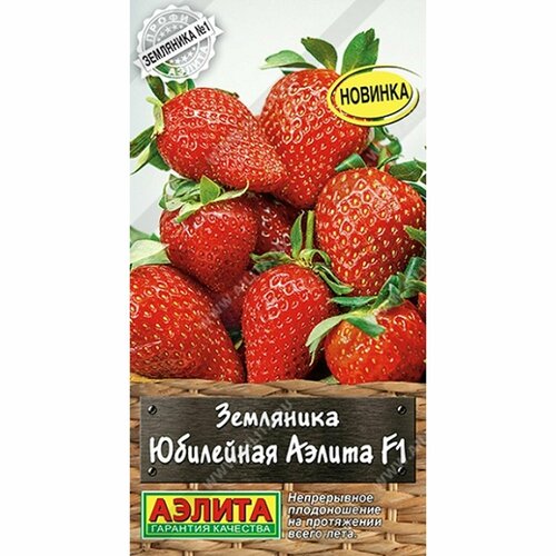 ������ ������ ������ ��������� ��������� ������ F1 (������) 10�� �����-������ ����