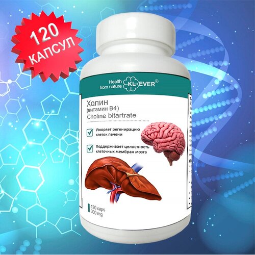 ������ ������ ����� (������� �4). 120 ������. ��� ������ / ������� / ��� ����� ����