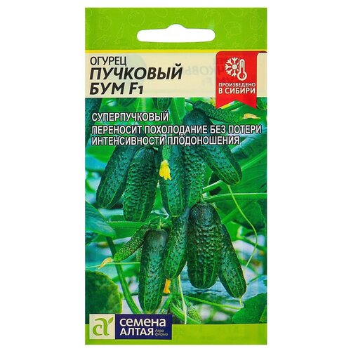 ������ ������ ������ ������ ����� ������ �������� ��� F1 5 ��. ����