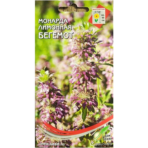 ������ ������ ������ ��� ����� ������� �������� ������� ����