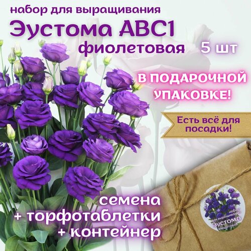 ������ ������ ���������� �����: ������ ������� ���������� + �������� ��������, 5 ��, ����� ��� ����������� ����