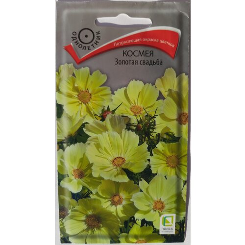 ������ ������ ������ ������ (������) ������� ������� 10 ���� ����� ����� ����