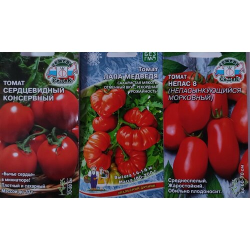 ������ ������ ����� �� 3� ����� ����� ������ ������� ����� ���������� ����