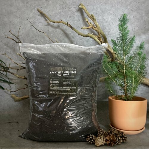 ������ ������ ������� ����� ��� ������� �������� � �������� 15 ������ �� Terracotta Plants ����