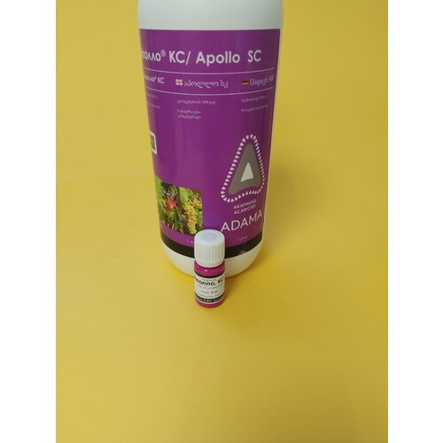 ������ ������ �������� ������ 10 �� ����