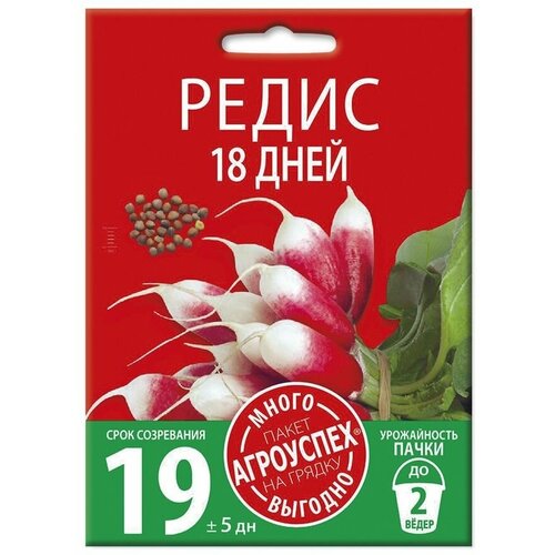 ������ ������ ����� 18 ����, ������ ��������� �����-������� 10� ����