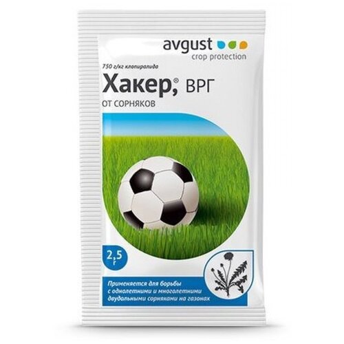 ������ ������ ����� �� �������� �� ������� ��� 2,5 �� ����