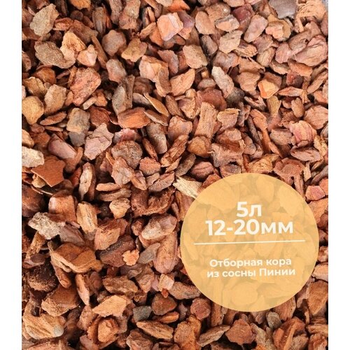 ������ ������ �������� ���� �� ����� ����� ��� ������� 5�, ������� 12-20��, ������ ������� ����