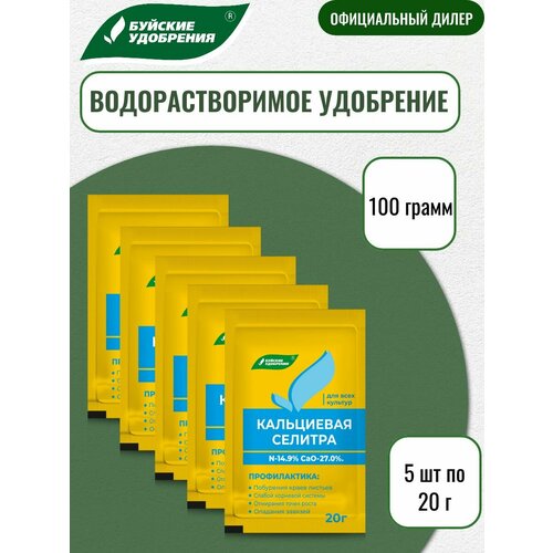 ������ ������ �������������� �������� �����������, ������� ���������, 20�, 5 �������� ����