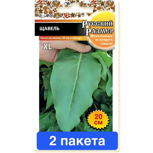 ������ ������ ������ ������ ������� ������ 