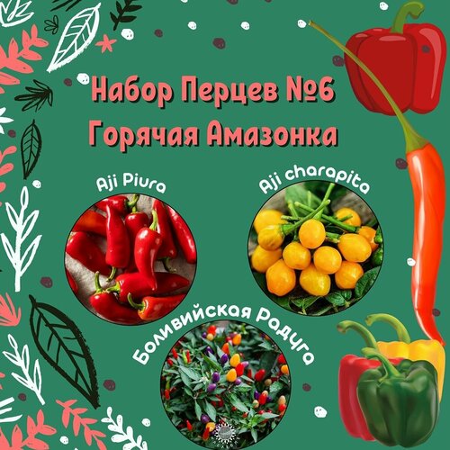 ������ ������ ����� ����� ������ 