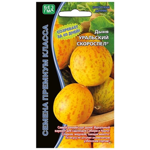 ������ ������ ������ ��������� ������ ���� ��������� ���������, 6 ��. ����