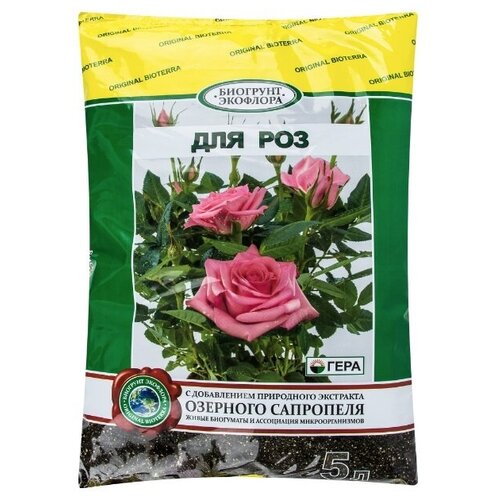 ������ ������ ����� ��� ��� 5 � ����