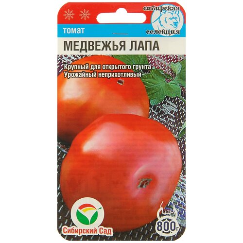 ������ ������ �������� ���� 20�� ����� (��� ���) ����