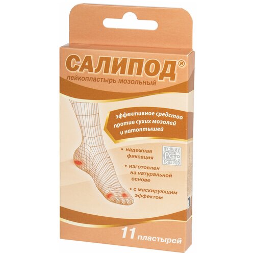 ������ ������ �������� ��������� ������� 11 ��. ����