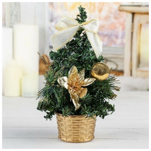 ������ ������ ���� ����� �������� 20 ��, ������ ����