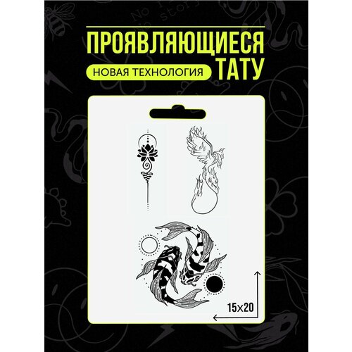 ������ ������ ���� ���������� �������������� �������� ����