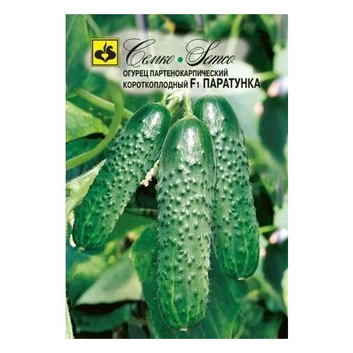 ������ ������ ������ ������ ��������� F1 5 �� (�����) (�����) 2�������� ����