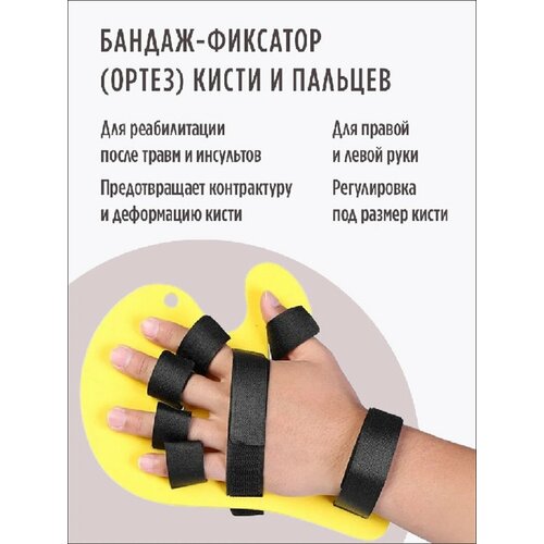 ������ ������ ������-�������� ��� ����� � ������� ����� �������� ����