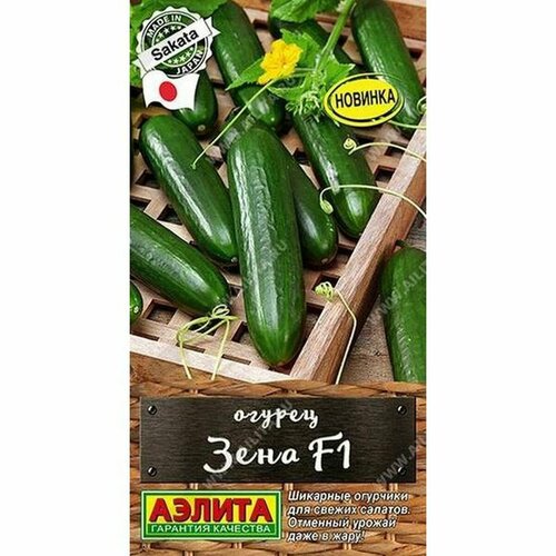 ������ ������ ������ ������ ���� F1 ����, ������������, (������) 7�� ����