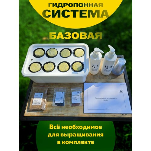 ������ ������ ������� ����������� ������ �������, ���������� ������� �����, ����������� ����