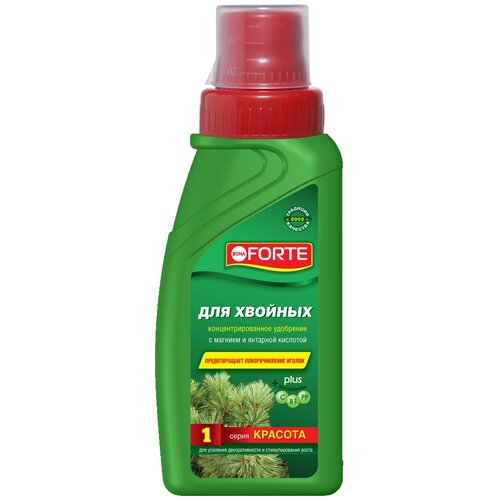 ������ ������ ��������� BONA FORTE ��� �������, ����� �������, 0.285 �, 365 �, 1 ��. ����