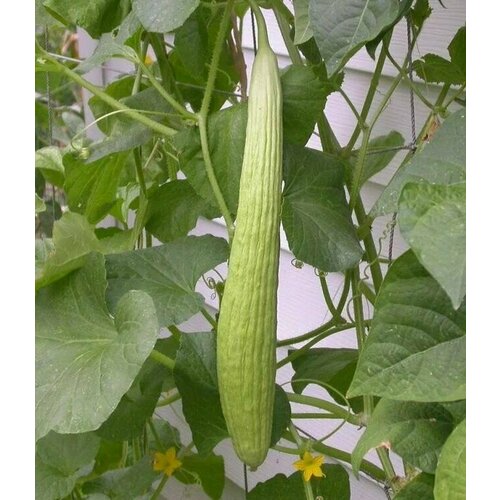 ������ ������ ������������� ������ ������ ��������� ����