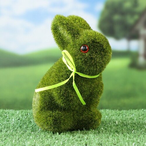 ������ ������ ������ 