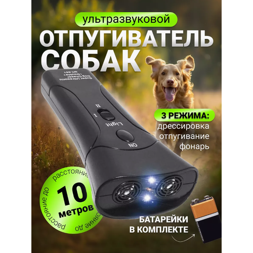 ������ ������ �������������� ������������ ����� � ��������� ����