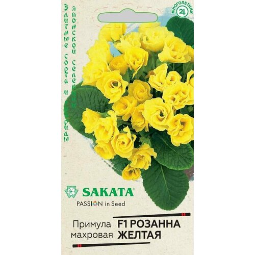 ������ ������ ������� ������� ������ F1 4�� ������ ����