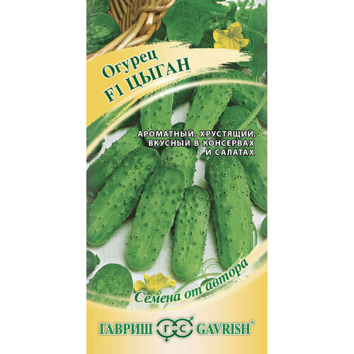 ������ ������ ������ ������ ����� F1 10�� �� ������ (������) ����� ����