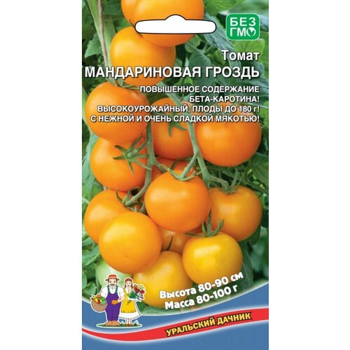 ������ ������ ������ ����� ������������ ������ 20�� ����� ������ (��������� ������) ����