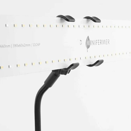 ������ ������ ��������-��������� �� ������ ��� �������� � ���������, 2 ����� � �������� ����