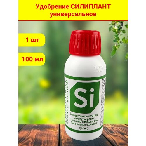 ������ ������ ����������������� ������������� ���������, ���������, 100 �� ����