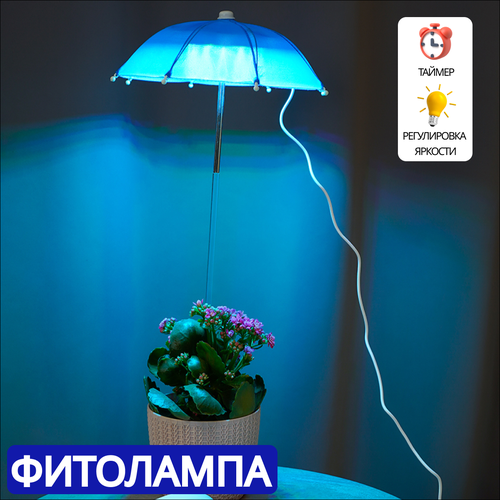 ������ ������ ��������� ��� ��������, ������ � ������� ����