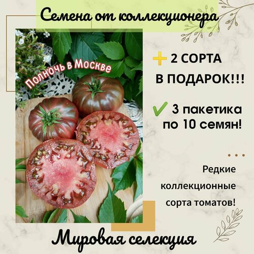 ������ ������ ����� ������� � ������, ������� ��������, ������������� ���� ����