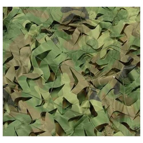 ������ ������ ���� �������������, ����� 