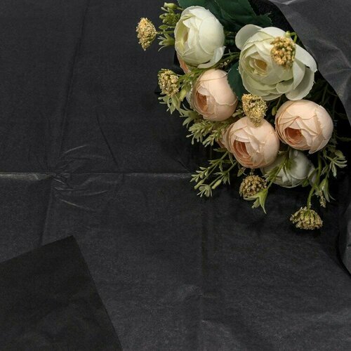 ������ ������ ����������� ������, ����� (0,5*0,65 �) ������, 10 ��. ����