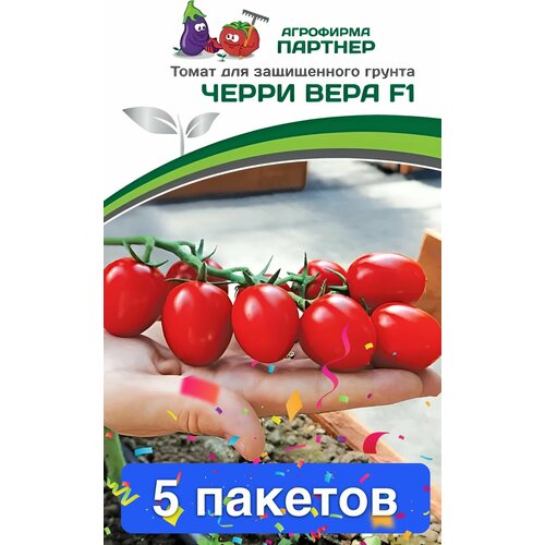 ������ ������ ������ ������ ��������� ������� 