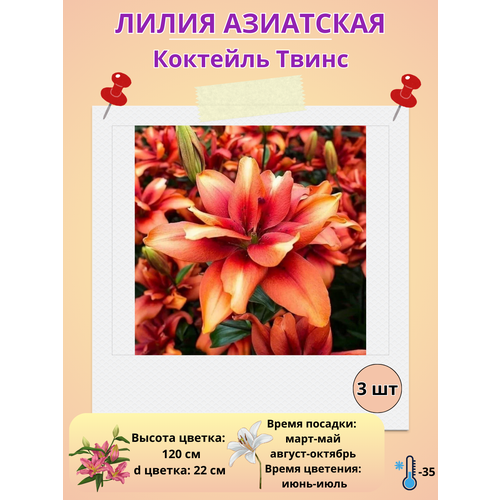 ������ ������ ����� ��������� �������� �����, ����������� ����� ����