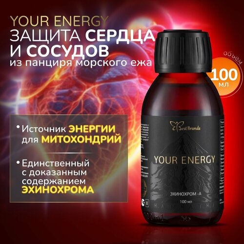    100 . (YOUR ENERGY).       ,   .   -     , -,   