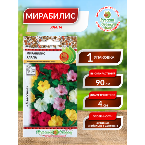 ������ ������ ������. �����. ��������� 