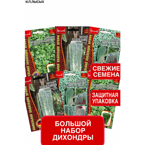 ������ ������ ����� ����� �������� ����