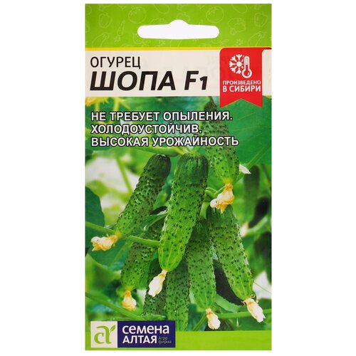 ������ ������ ������ ������ ����� ������ ���� F1 5 ��. ����